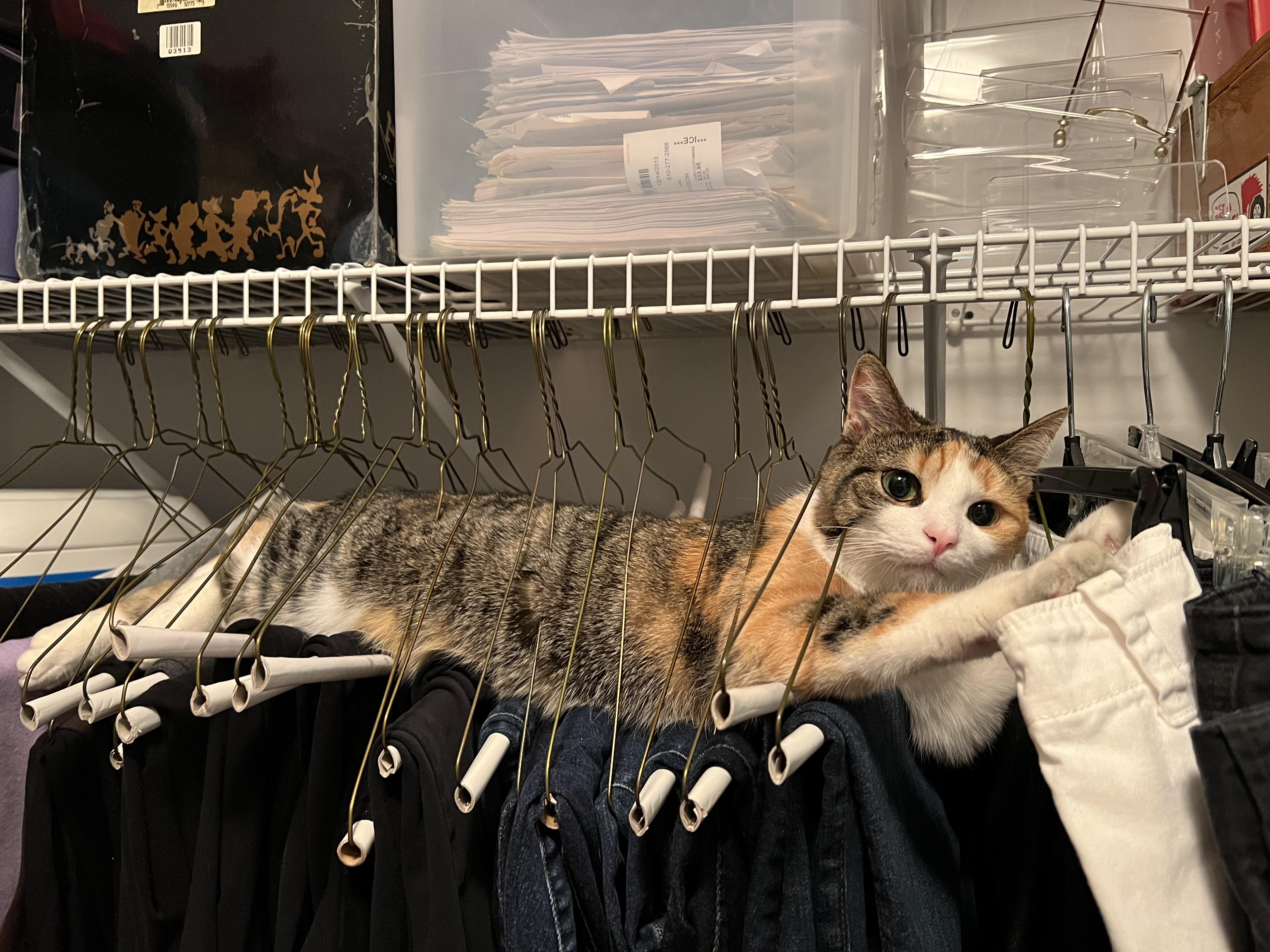 Thread image