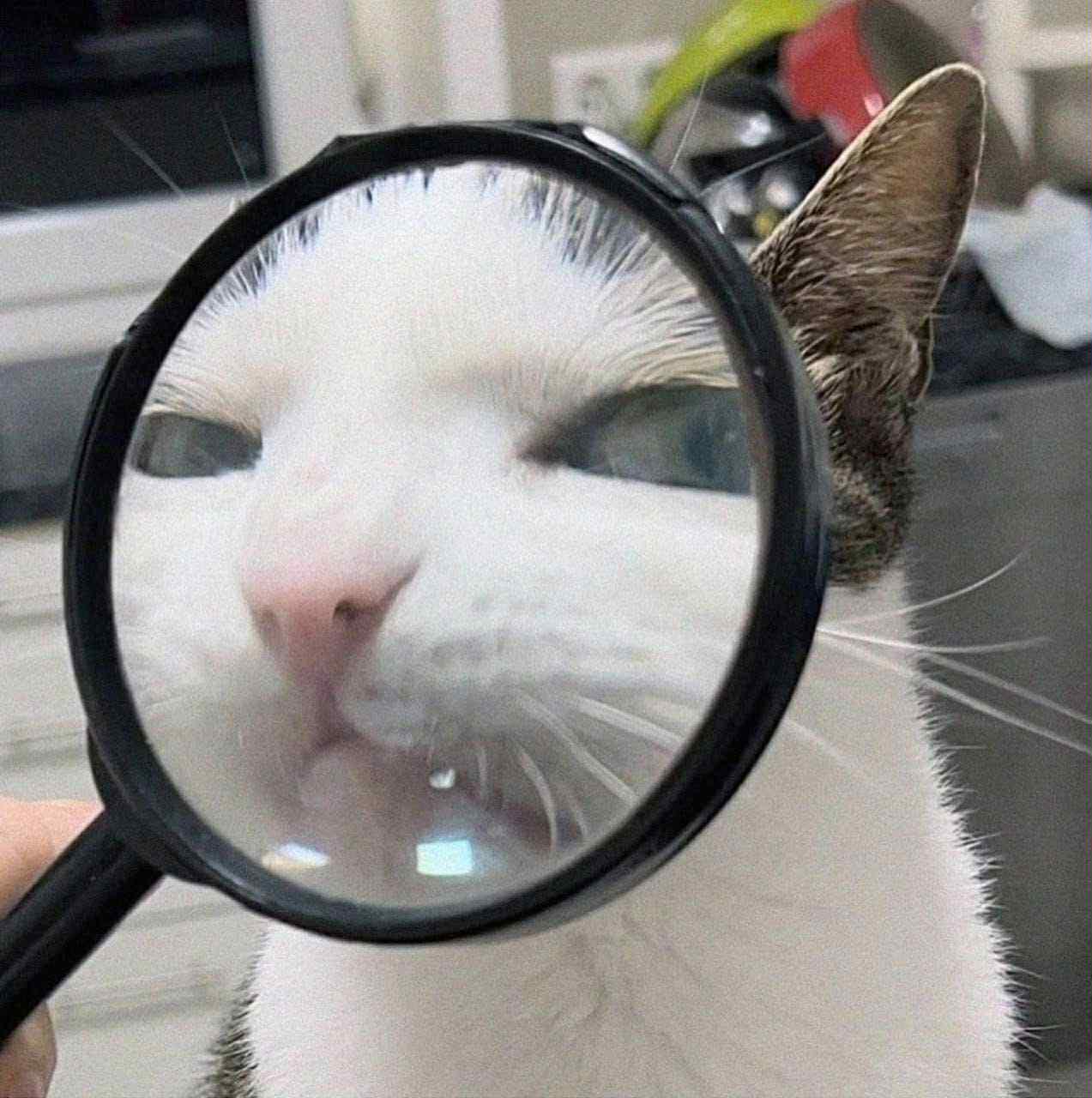 Thread image