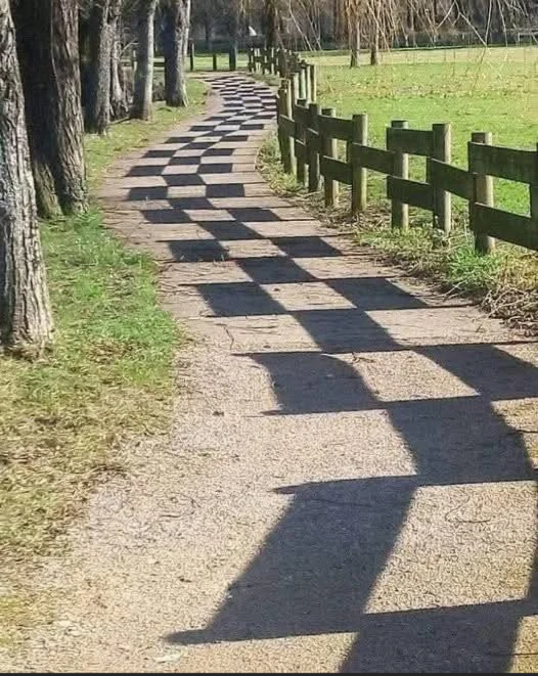 Thread image