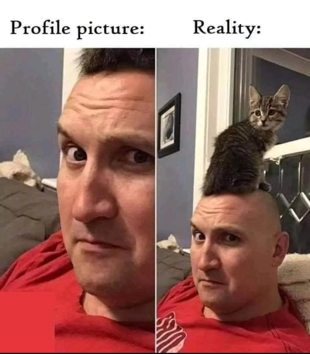 Thread image